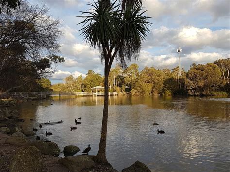 RINGWOOD LAKE (2026) All You Need to Know BEFORE You Go (with Photos ...