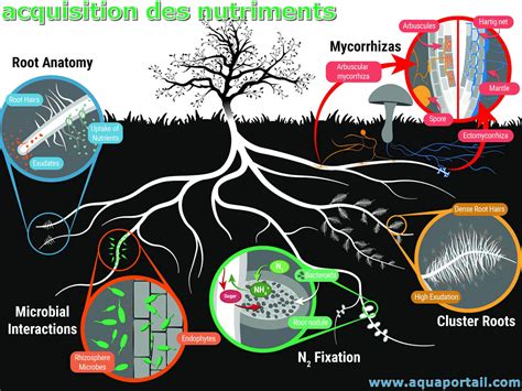 Un nutriment, qu'est-ce que c'est?