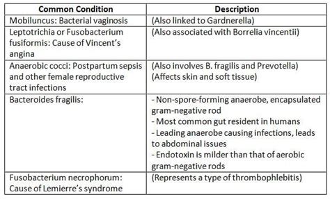 Anaerobes Clostridium and Non-Sporing Anaerobes Chapter Notes ...