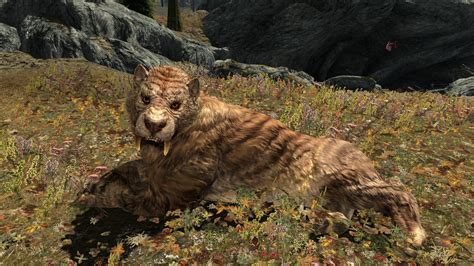 Skyrim Mod Randomises Your Character Species Every 150 Seconds