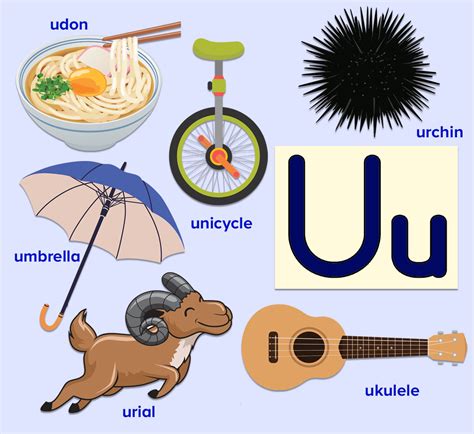 U Words For Kids Funz U Alphabet Letter Printed Flash Card Animal