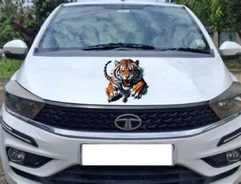 Hari Graphics - Premium Digital Sticker Printing | Vehicle, Wall, Glass ...