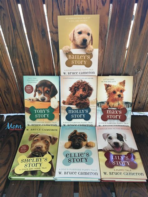 W. Bruce Cameron Will Captivate Readers This Christmas#MegaChristmas19 ...