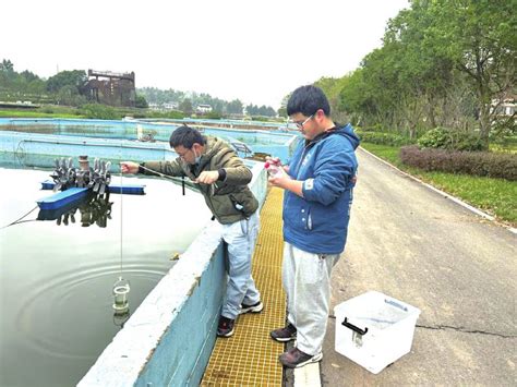 鱼塘水浑浊怎样变清 鱼塘水净化处理的方法-西安蓝海狸水处理设备厂家