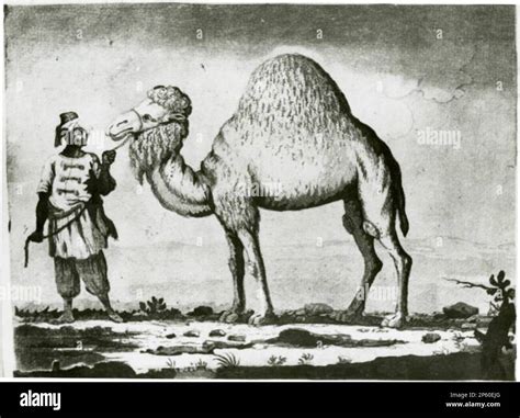 18th century painting arab hi-res stock photography and images - Alamy