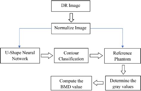 Algorithm Development Process in Computer Science 的图像结果