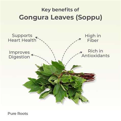 100% Organic Green Leaves | Nutritious Soppu Greens