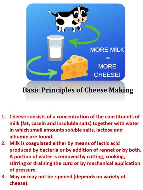 Process of Making Cheese 的图像结果