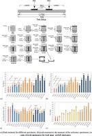 Engineering Structures Journal 的图像结果