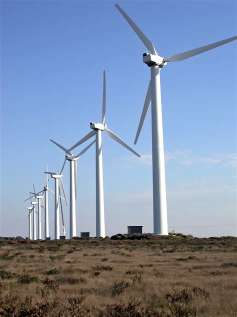 Image result for Wind Power