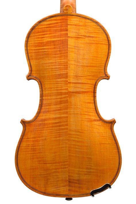 Image result for Six-String Viola