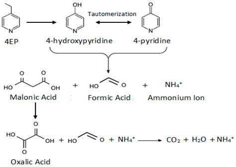 Catalytic Degradation of 4-Ethylpyridine in Water by Heterogeneous ...