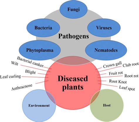 Pathogens 的图像结果