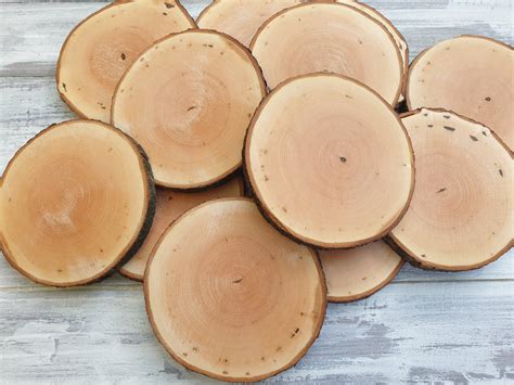 Image result for Tree Rot Slices