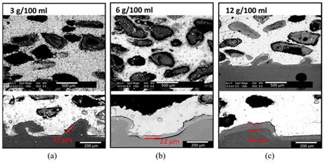 Strategies to Control In Vitro Degradation of Mg Scaffolds Processed by ...