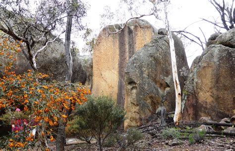 Uncover Ancient Wisdom: Journey Through NSW’s Aboriginal Sites Register