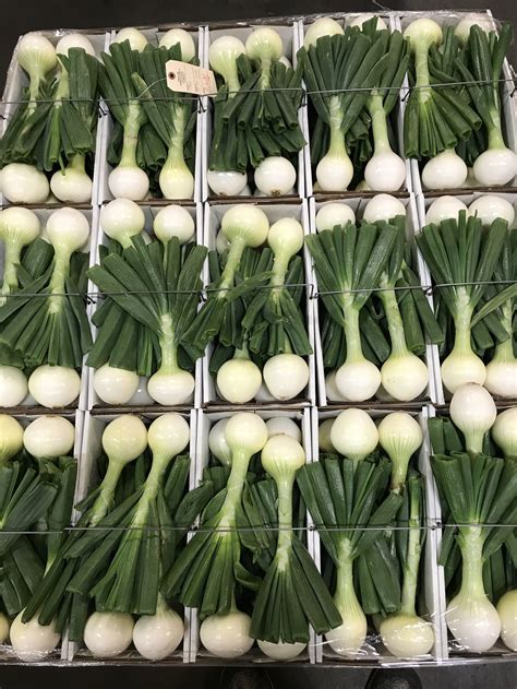 Local Produce Company 的图像结果