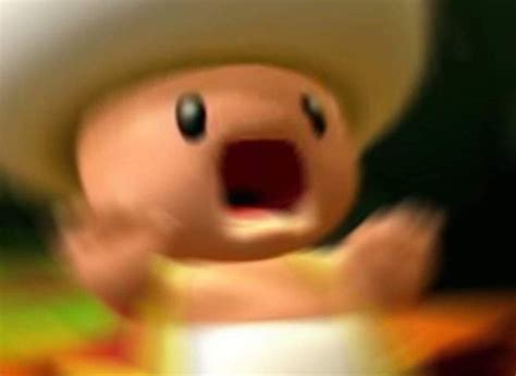 Image result for Toad Light Meme