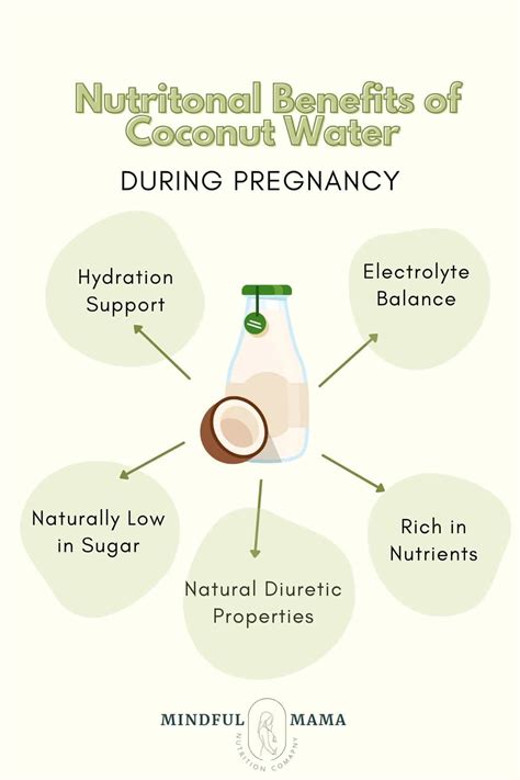 Benefits of Coconut Water During Pregnancy - Mindful Mama Nutrition Company