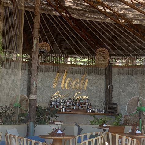 NOAH GOA, Anjuna - Restaurant Reviews, Phone Number & Photos - Tripadvisor