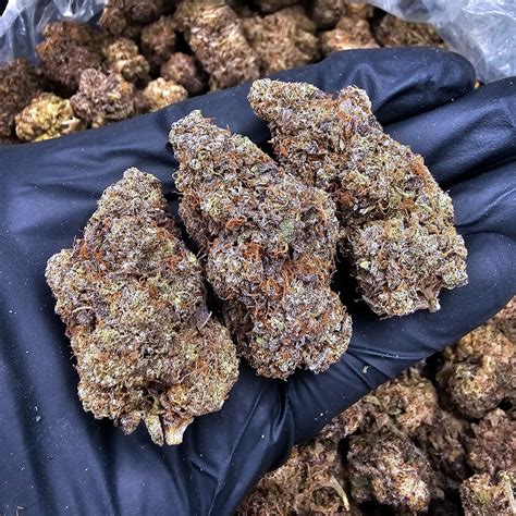 Space Runtz - Hybrid - Designer. **OUT OF STOCK** - District Connect ...