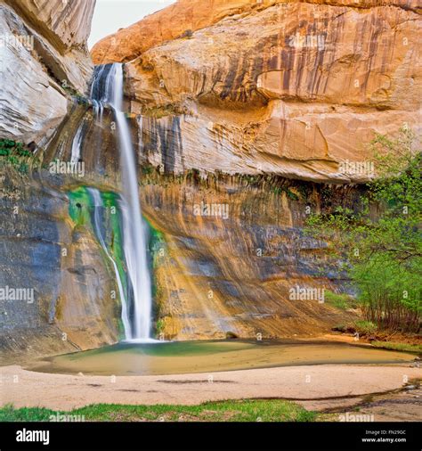 Lower calf creek falls trail hi-res stock photography and images - Alamy