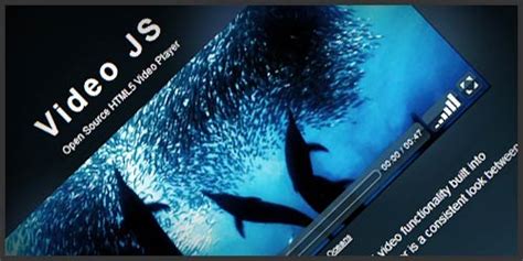 JavaScript and jQuery Video 的图像结果