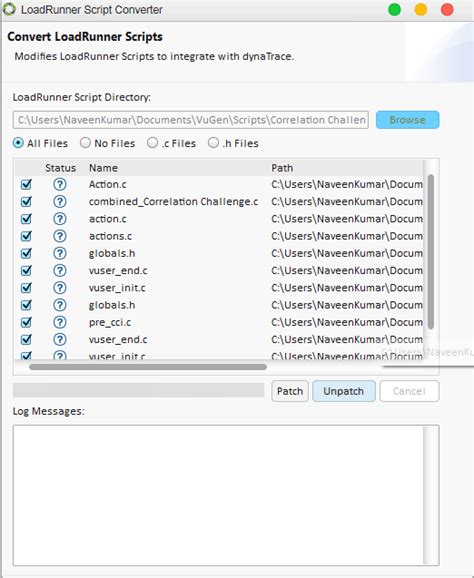 Image result for Load Runner RDP Script Example