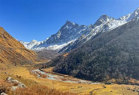 Trek The Himalayas | Safest & Trusted Trekking Organization