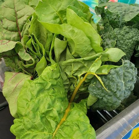 Local Produce Market 的图像结果