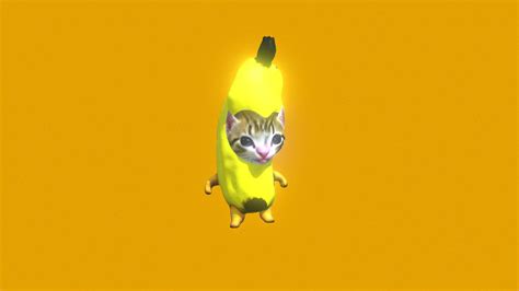 Image result for Cat Writing Python Code