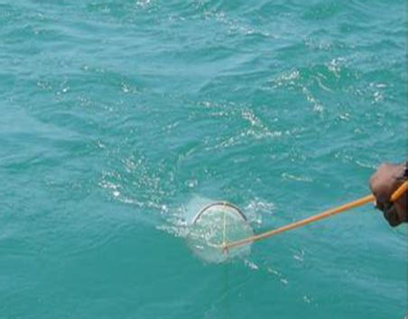 Okeanos Coastal Engineering Pvt Ltd