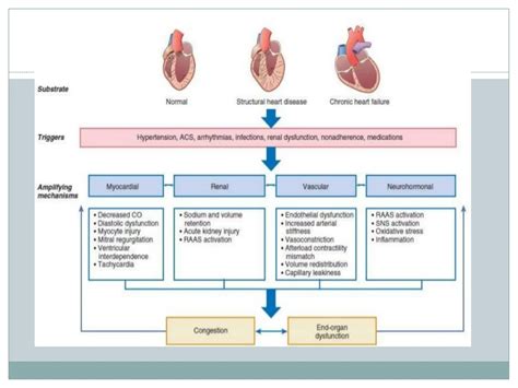ACUTE DECOMPENSATING HEART FAILURE presentation for May 2017.pdf