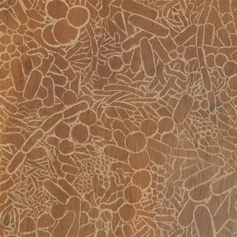 Image result for Stool Sample