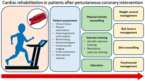 Exercise Training and Cardiac Rehabilitation in Patients After ...