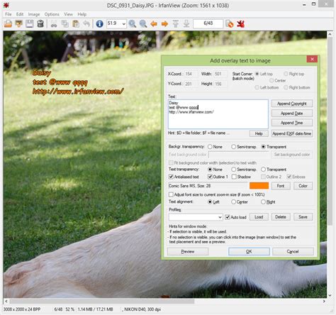 IrfanView Download: Freeware-Bildbetrachter mit vielen Zusatzfeatures
