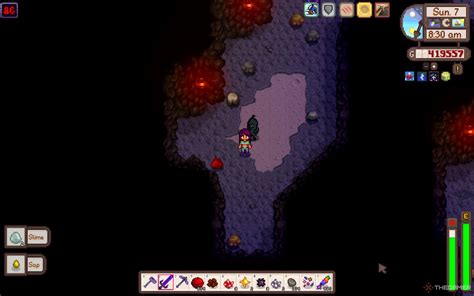 How To Find Void Spirits In Stardew Valley
