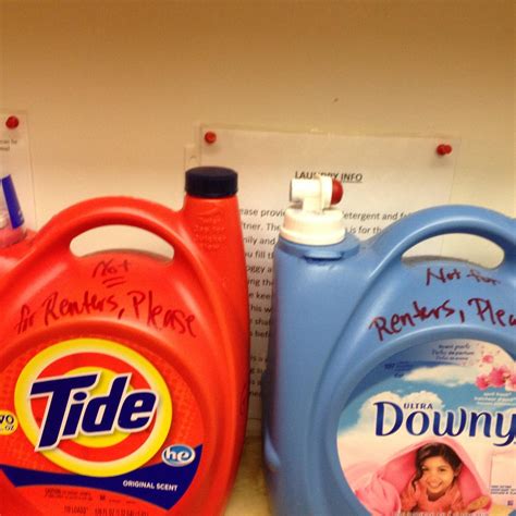 WOODSEA PLACE (Maine/Peaks Island) - Ranch Reviews & Photos - Tripadvisor