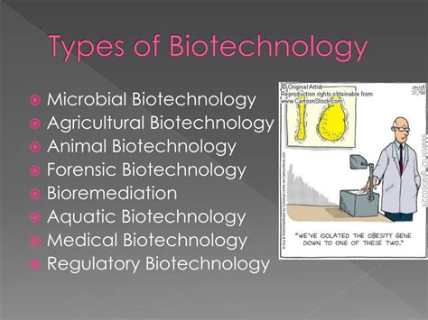 Biotechnology Examples 的图像结果