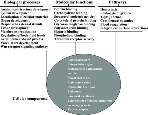 Biological 的图像结果