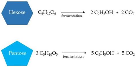 Bioethanol Production from Lignocellulosic Biomass—Challenges and Solutions