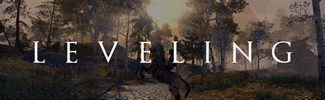 Image result for Speed Leveling Guide ESO
