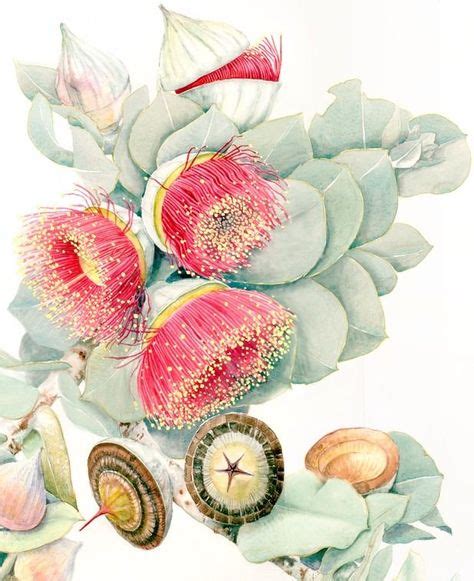 Discover the Beauty of Native Australian Flowers in Art: A Journey Through Color and Symbolism