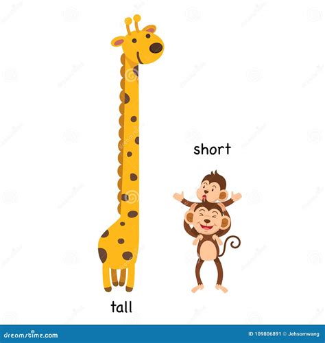 Opposite tall and short stock vector. Illustration of cartoon - 109806891