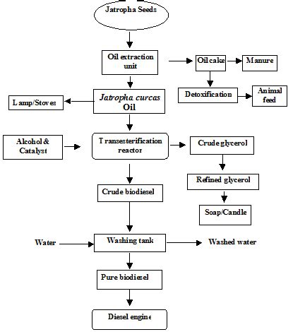 TNAU Agritech Portal :: Bio Fuels