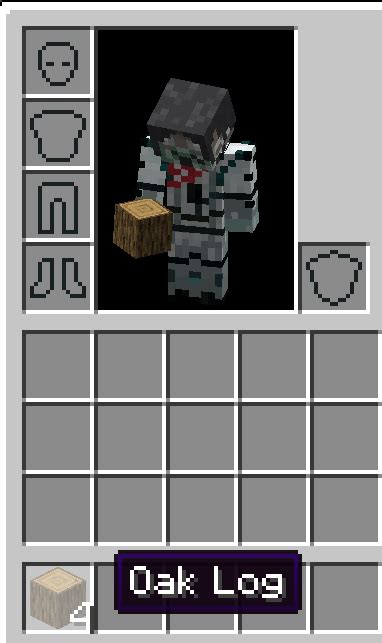 Image result for Minecraft How to Play Guide