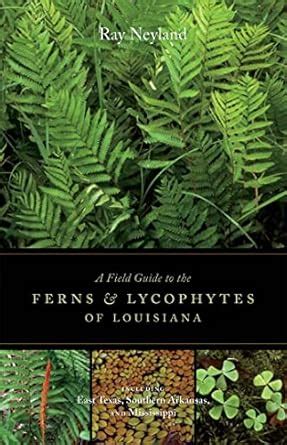 A Field Guide to the Ferns and Lycophytes of Louisiana eBook : Neyland ...