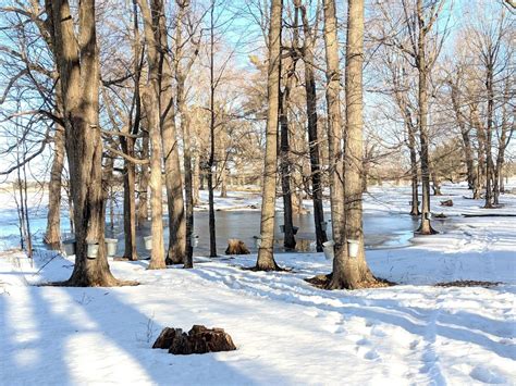 Stay Home and Buy Local 的图像结果