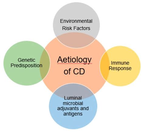 Crohn’s Disease: Potential Drugs for Modulation of Autophagy