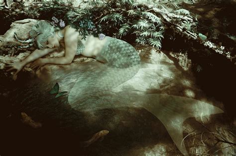 How Do Mermaids Reproduce 的图像结果